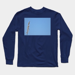 Pampas Grass Head Long Sleeve T-Shirt